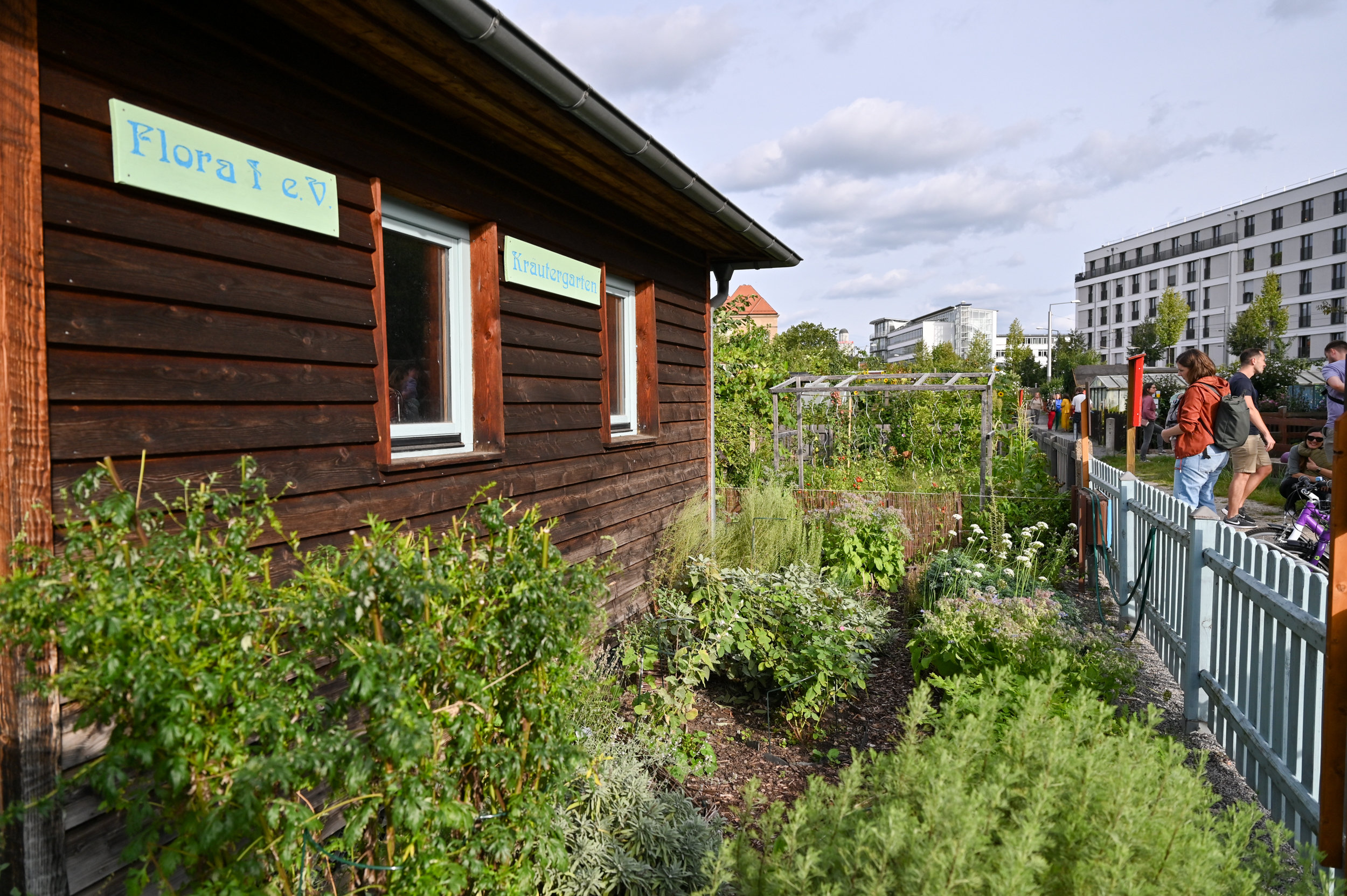 KI generiert: Das Bild zeigt einen Gemeinschaftsgarten in einer städtischen Umgebung mit einem kleinen Holzhäuschen und vielen Pflanzen. Menschen spazieren entlang eines Zauns, der den Gartenbereich umgibt.