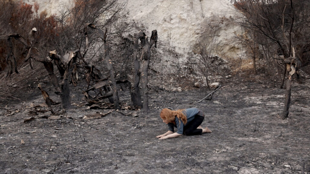 KI generiert: Das Bild zeigt eine Person, die auf verbranntem Boden kniet, umgeben von verkohlten Bäumen und Büschen. Es vermittelt eine starke Atmosphäre der Zerstörung aufgrund eines Feuers.