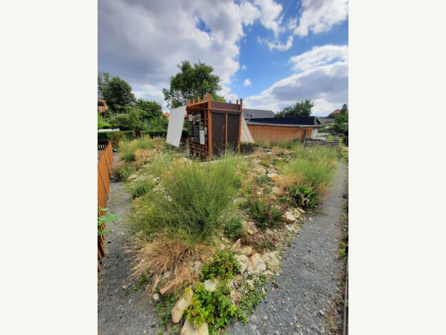 KI generiert: Das Bild zeigt einen Garten mit vielfältiger, wilder Bepflanzung und einem modernen Gartenhaus im Hintergrund. Der Himmel ist teilweise bewölkt und es sieht nach einem sommerlichen Tag aus.