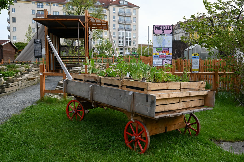 KI generiert: Das Bild zeigt eine Gartenparzelle mit einem alten Holzwagen, der als Pflanzgefäß für verschiedene Pflanzen dient. Im Hintergrund sind ein Gebäude und ein Informationsschild zur Parzelle 3 zu sehen.