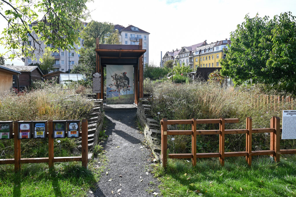 Pavillonausstellung Parzelle 3 mit LOIS WEINBERGER "RELATIVES II", KGV Flora I Dresden