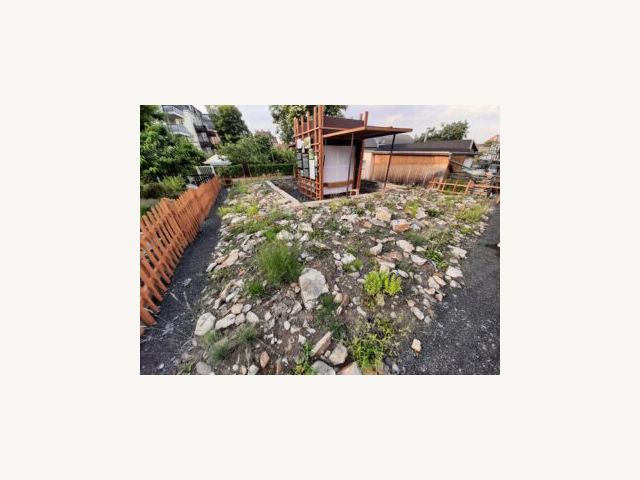 KI generiert: Das Bild zeigt eine steinige Gartenfläche mit etwas Vegetation und einem kleinen, überdachten Gartenhäuschen in der Mitte. Ein Holzzaun umgibt den Gartenbereich.