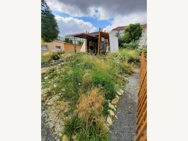 KI generiert: Das Bild zeigt einen kleinen Garten mit einem Holzpavillon oder Schuppen im Hintergrund. Der Garten ist üppig mit verschiedenen Pflanzen und Gräsern bewachsen und umgeben von einigen Häusern.