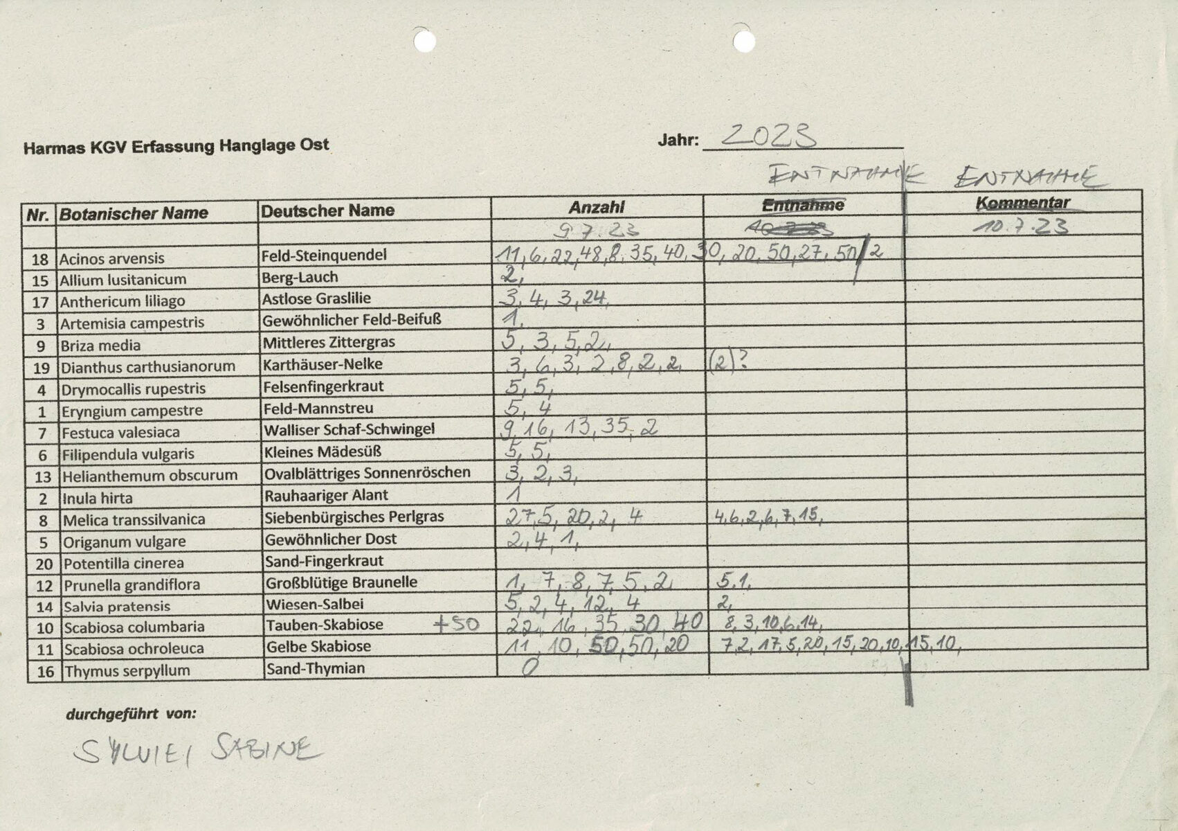 KI generiert: Das Bild zeigt eine handgeschriebene Tabelle mit einer Liste von Pflanzenarten, ihren deutschen Namen, und der Anzahl in einem bestimmten Gebiet. Es enthält auch Spalten für die Entnahme und Kommentare zum Zustand der Pflanzen im Jahr 2023.