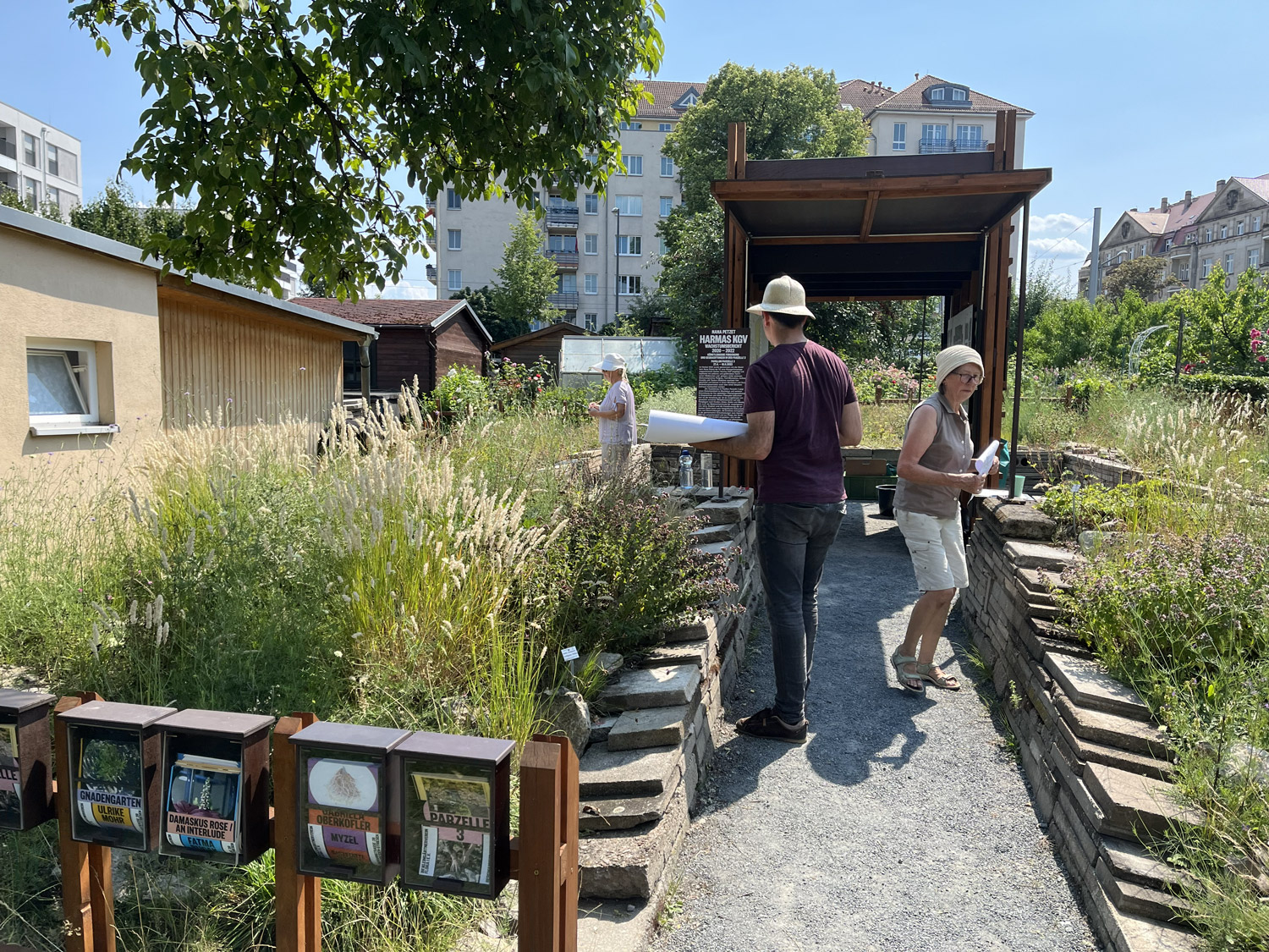 KI generiert: Das Bild zeigt einen Gemeinschaftsgarten in einer städtischen Umgebung, in dem mehrere Personen beschäftigt sind. Im Vordergrund sind Informationsboxen über Pflanzen zu sehen, während die Menschen im Garten arbeiten oder sich informieren.