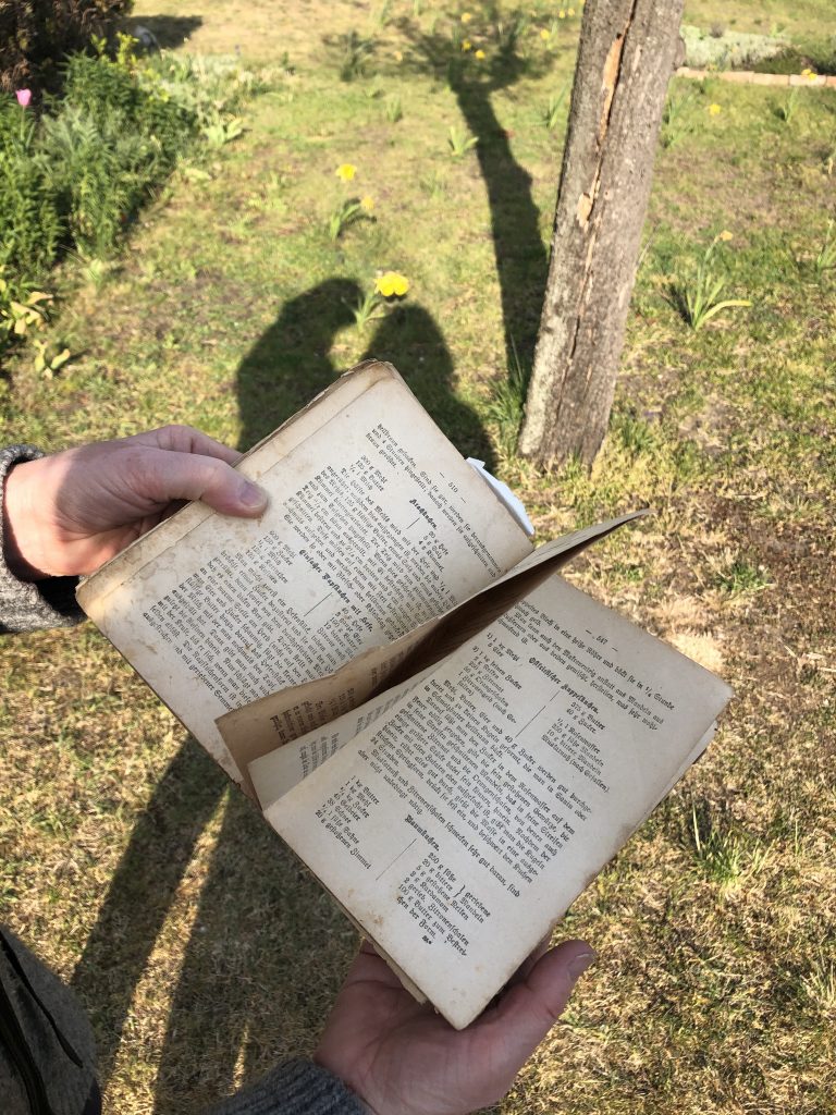 KI generiert: Das Bild zeigt eine Person, die ein altes, leicht beschädigtes Buch im Freien hält. Im Hintergrund sind Gras, Blumen und ein Baumstamm zu sehen.