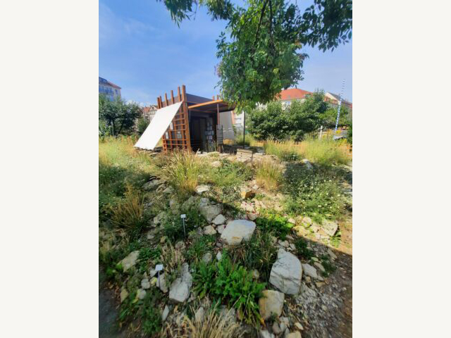 KI generiert: Das Bild zeigt einen kleinen Schuppen oder Pavillon inmitten eines unordentlichen Gartens, umgeben von hohen Gräsern und Gebüsch. Im Hintergrund sind Bäume und Gebäude zu sehen.