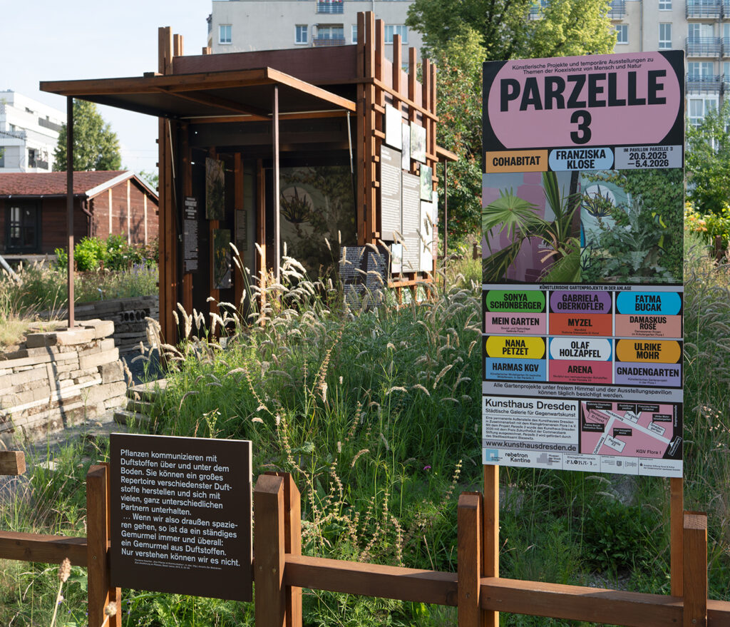 KI generiert: Das Bild zeigt eine Parzelle mit einem Informationsschild über ein Kunst- und Gartenprojekt im Kunsthaus Dresden. Im Hintergrund steht eine kleine hölzerne Struktur, umgeben von Pflanzen und Gräsern.