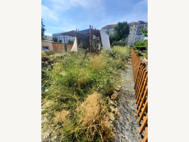 KI generiert: Das Bild zeigt einen überwucherten Garten oder Hof mit hohem Gras und Unkraut. Im Hintergrund befinden sich Gebäude, während ein schmaler Weg durch den bewachsenen Bereich führt und ein Bau oder Schuppen zu sehen ist.