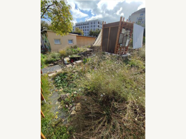 KI generiert: Das Bild zeigt einen überwucherten Garten mit einer kleinen Holzhütte im Hintergrund und einem modernen Gebäude im weiteren Hintergrund. Die Szene wirkt vernachlässigt und wildwüchsig.